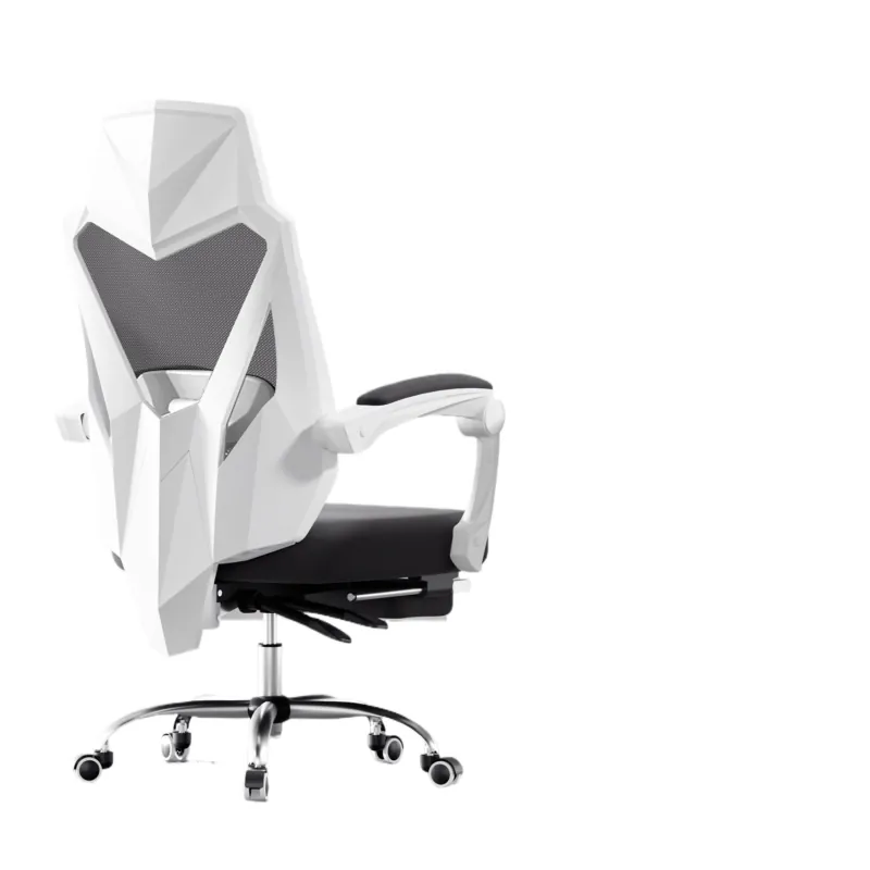 Ergonomische bureaustoel voor  - Ergonomic Office Chair recensie en prijs