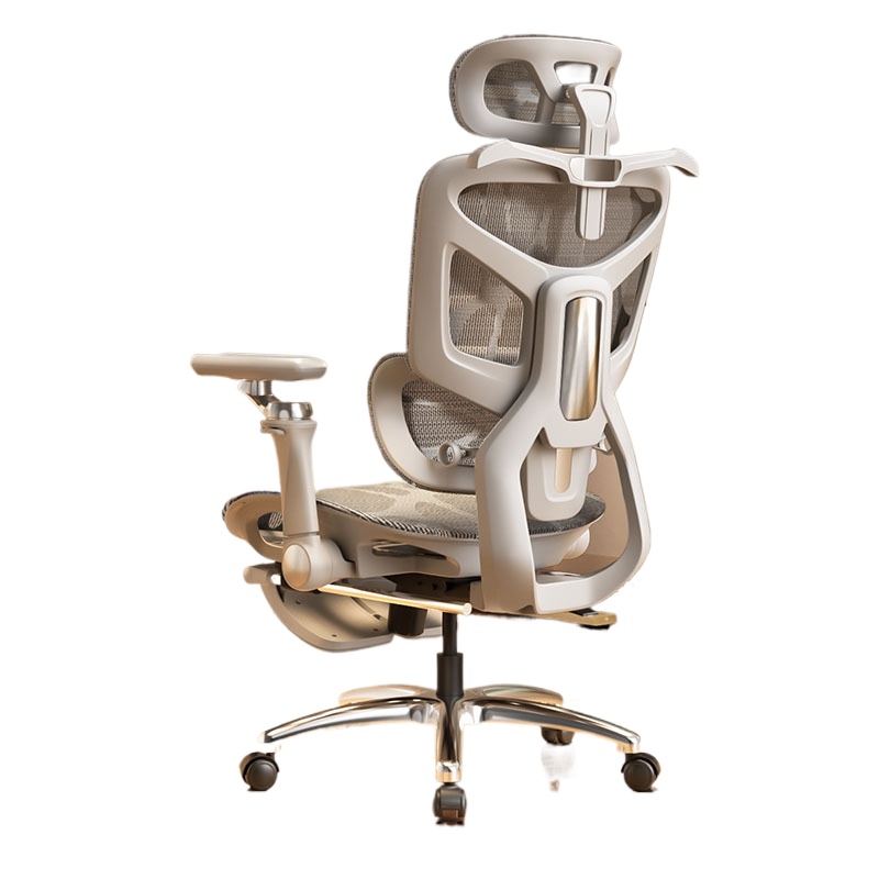Ergonomische bureaustoel voor  - Ergonomic Office Chair recensie en prijs
